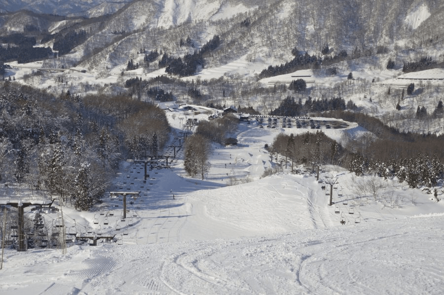 【湯殿山スキー場】ゲレンデ