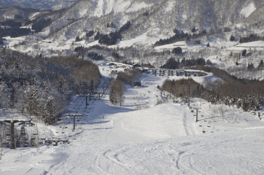 【湯殿山スキー場】ゲレンデ