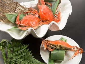 ☆彡受賞☆彡【厳選した食材・活魚　料理長のおまかせ特別玉手箱会席】飲み放題〈夕朝食部屋食〉