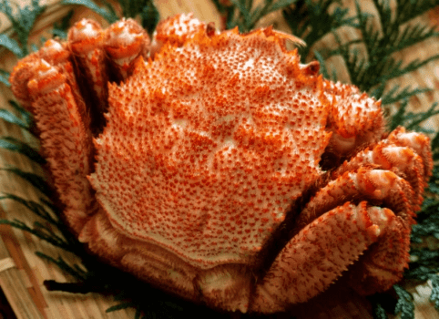 【西尾市周遊】数量限定・商品券付♪＜大ズワイ・栗・毛蟹＞【竜宮城玉手箱会席】蟹1品選べる