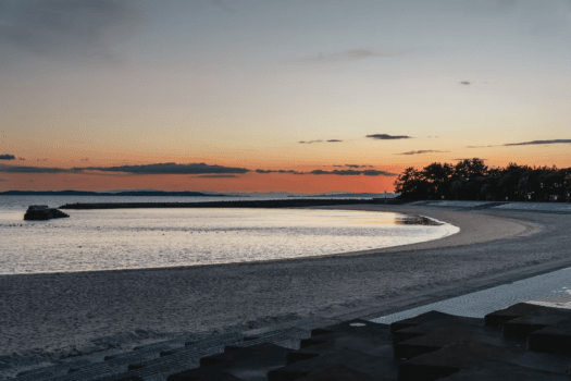 【年末年始限定】伊勢海老一尾付きお正月会席＜ゆったり部屋食＞