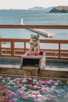 ☆彡竜宮ホテル　昼特別プラン☆彡 ☆ 伊勢海老＆一色魚舟盛・鮑踊り焼き付き豪華ランチ