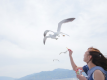 観光船でかもめにエサあげも楽しい♪