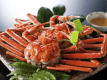[ Crab & Onsen ] The Crab Special Course