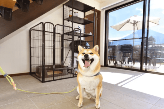 【ペット可】バルコニーヴィラ/富士山展望風呂付