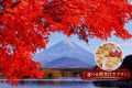 【紅葉旅】〈朝食付〉富士五湖の秋を巡る|一棟貸切ヴィラで過ごす富士山麓ステイ 【紅葉旅】〈朝食付〉富士五湖の秋を巡る|一棟貸切ヴィラで過ごす富士山麓ステイ
