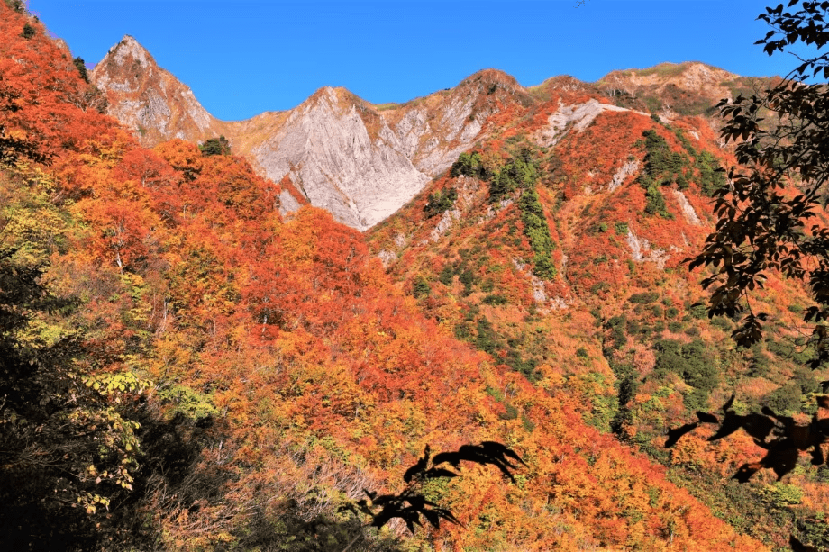 雨飾山の紅葉