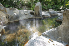 岩造りのダイナミックな湯船も見どころの一つです。