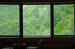 新緑の眺望は1枚の絵画のようにうっとりと眺めていたくなります。