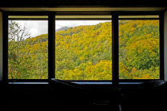 紅葉の時期の窓からの景色は、時間を忘れて眺めていたくなります。