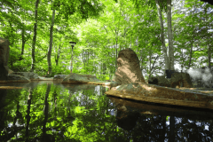 新緑の露天風呂