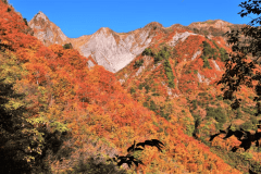 雨飾山の紅葉
