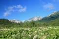 夏の白馬三山