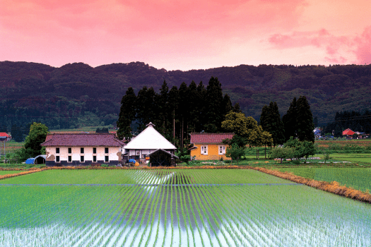 【周辺風景】お気に入りの景色を見つけたら、歩いてみてください。