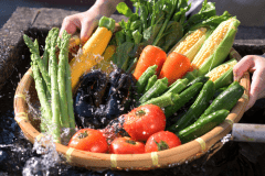 【こだわりの食材】地元農家さんより直接仕入れる朝採れ野菜や旬の食材。