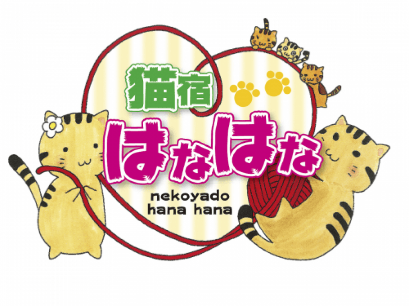 ＜昼食＆温泉＞姫宿花かざしとコラボ【猫宿はなはな】ホテルたつきでランチでも猫ちゃんとふれあえます♪