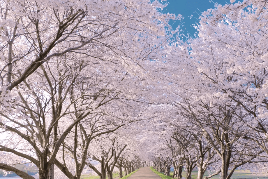 【記念日の宿】特別な日のお手伝いをさせて頂きます