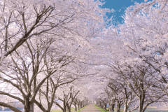 【記念日の宿】特別な日のお手伝いをさせて頂きます