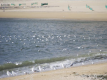 西浦の浜辺