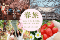 2025.3.12【メインダイニング　リニューアルオープン記念】☆バイキングプラン♪