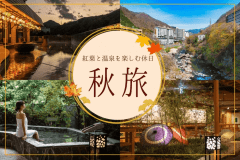 2025.3.12【メインダイニング　リニューアルオープン記念】☆バイキングプラン♪