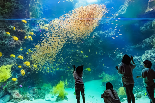【1泊2食付き】＜お得なよくばり海満喫プラン＞”アクアマリンふくしま水族館”のチケット付き✨更に、釜揚げシラス盛り放題の見てヨシ！食べてヨシ！海づくしの滞在をお楽しみ♪