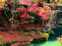 紅葉も見られます