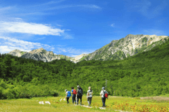 【2食付】つがいけロープウェイプラン