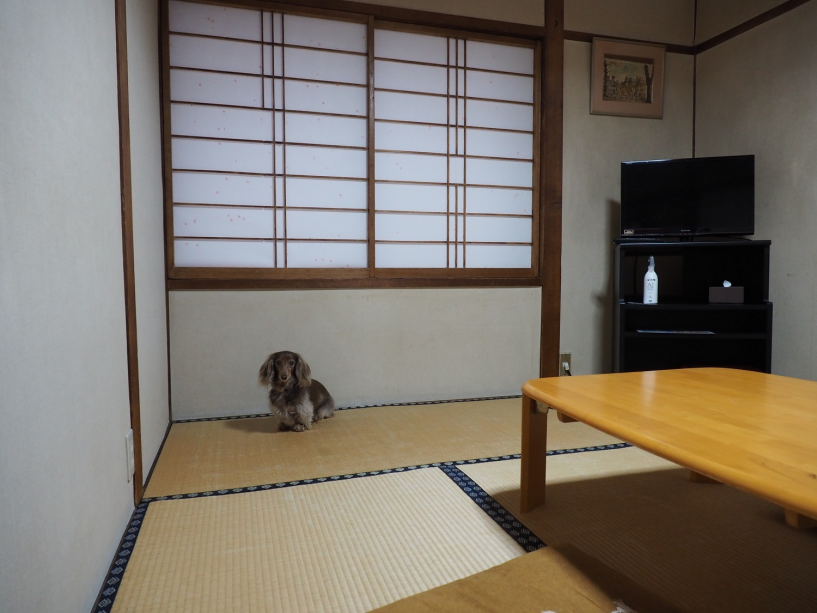 ☆ワンちゃんと一緒☆【朝食のみ】遅く着くかた、温泉街を楽しみたいかたに！