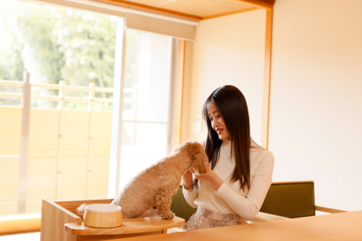 「愛犬と一緒に泊まれる客室」が誕生。
大切な家族の一員である愛犬とともに、
気軽に安心して温泉旅行へお出掛けください。