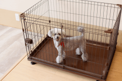 客室内にはケージも用意がございます。