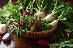 【地元食材】変わり種の地魚や当宿の庭で沢山採れた野菜など、全ての食材を料理長の工夫で朝晩のお料理の中で使い切ります。