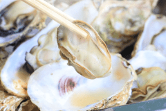 浦村産牡蠣