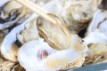浦村産牡蠣