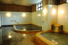 内風呂「太古の湯」