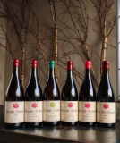 Yoichi LOOPで味わう唯一無二の極上体感コース&ペアリング Yoichi LOOPで味わう唯一無二の極上体感コース&ペアリング