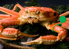 【特上・間人ガニ】約1kg+600g!1人1.5杯の間人ガニを堪能♪♪茹でガニ付~ブランド松葉蟹~ 【特上・間人ガニ】約1kg+600g!1人1.5杯の間人ガニを堪能♪♪茹でガニ付~ブランド松葉蟹~