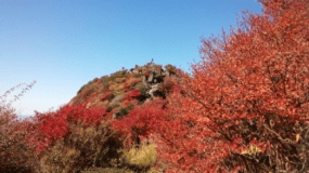 秋　星生山