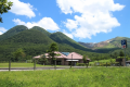 夏の飯田高原　爽やかな風が吹きぬけます！