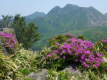 春　泉水山