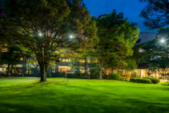 ライトアップされ、昼とは違った幻想的な雰囲気の日本庭園