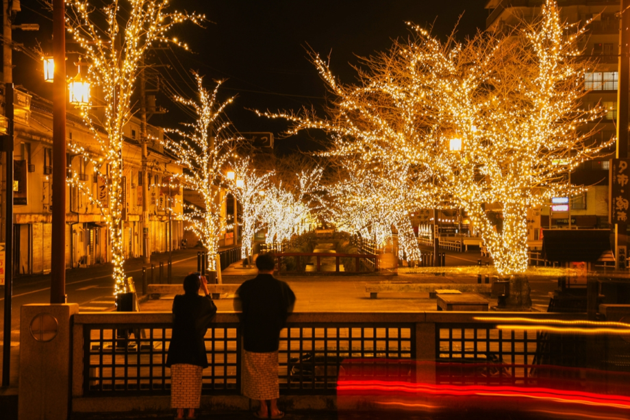 173本の桜の木に約55万球のLED電球が装飾され、夜の温泉街が幻想的な光で彩られます。 173本の桜の木に約55万球のLED電球が装飾され、夜の温泉街が幻想的な光で彩られます。