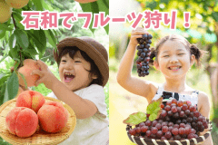 フルーツ王国石和で季節のフルーツ狩りを楽しもう！石和グルメも満喫できる2食付プランです