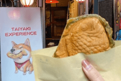 Making TAIYAKI experience（Not an accommodation plan）