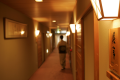 すがすがしい木肌の優しさが館内には溢れる