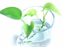 部屋タイプ無指定　おまかせルーム