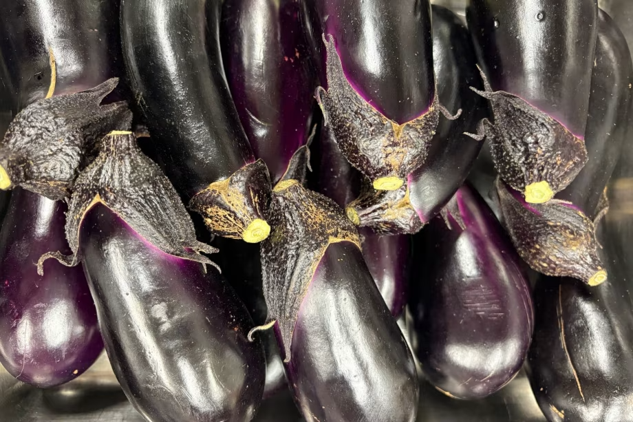 《Ricca冬の兵庫五国の贅》北は但馬、南は淡路　兵庫各地からその時々の選りすぐりの食材を集めたシークレットメニュー【西村屋ホテル招月庭内レストランRiccaにて】