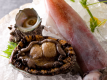 Chef's Choice Seasonal Kaiseki