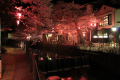 Sakura Kaiseki