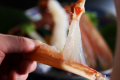 松葉かにづくし《お一人様につき松葉蟹1.5杯相当使用》